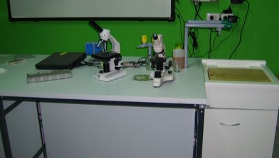 Laboratorio Scientifico Plessi di Carlopoli